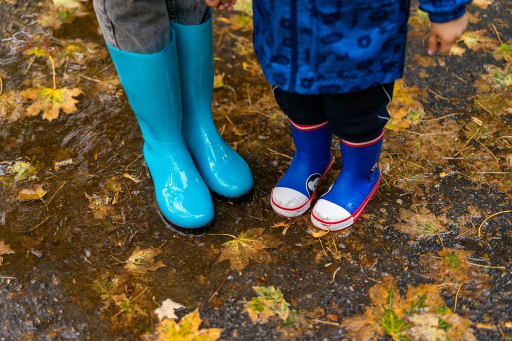 11фото pexels.com