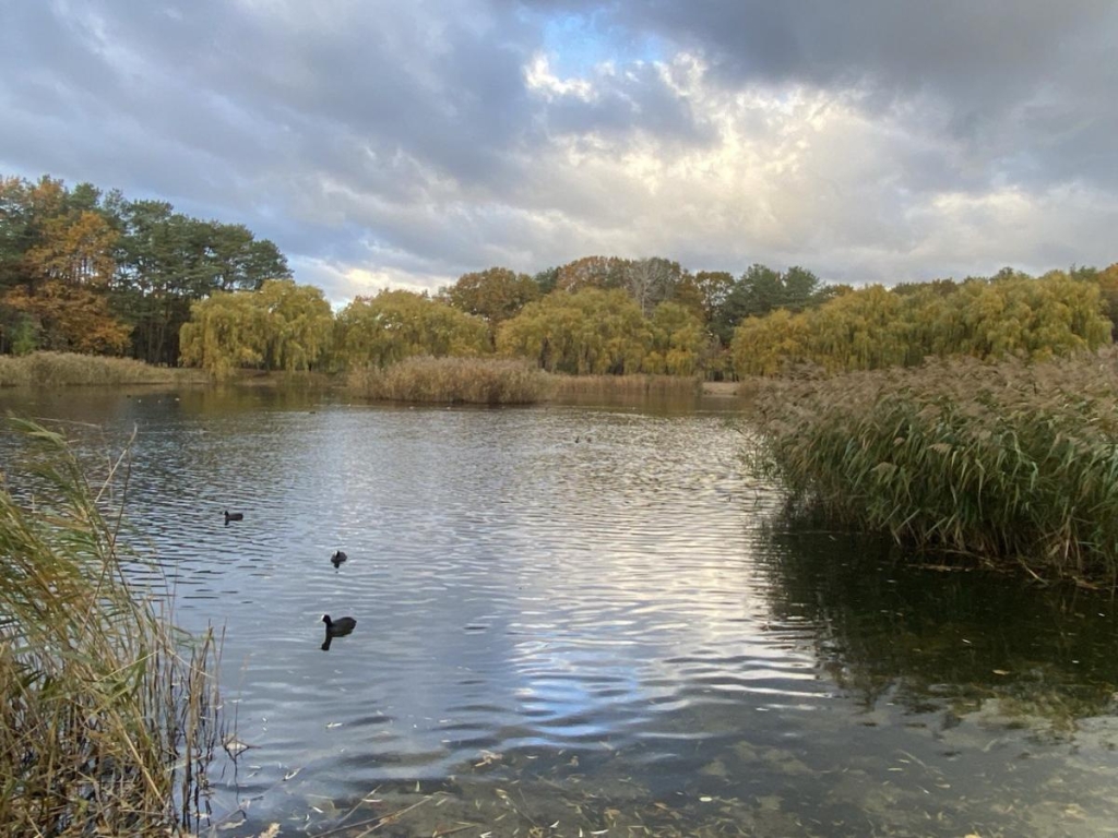 / фото УНІАН, Надія Пришляк