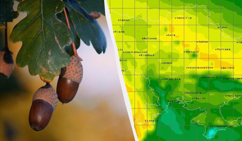 Синоптикиня попередила про незвичну температуру в Україні 10 вересня 1 колаж УНІАН, фото Pixabay, скріншот