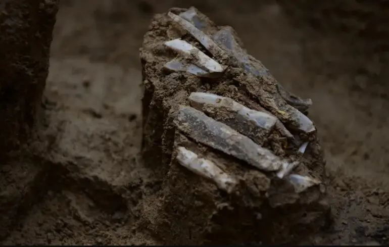 Стародавня сумка з інструментами - вчені знайшли набір знарядь праці віком 30 тисяч років - фото 1