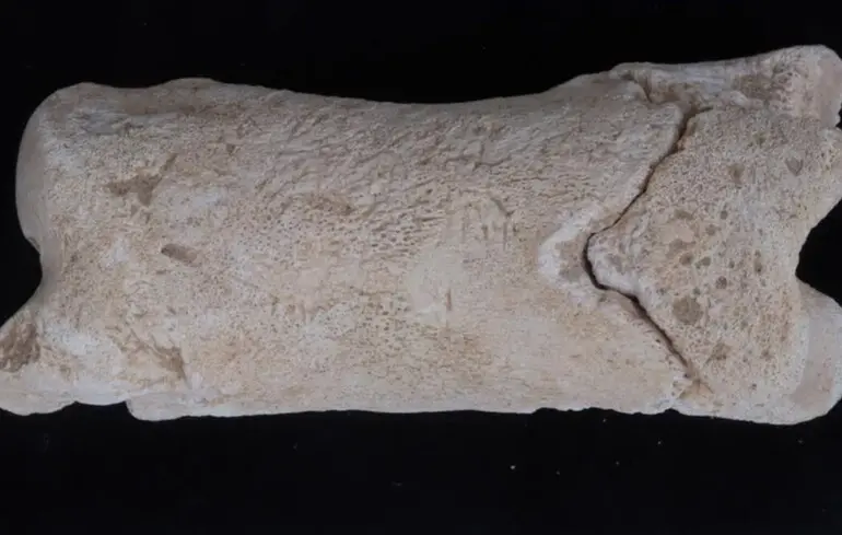 Свисток давньоєгипетського поліцейського - вчені зробили несподіване відкриття в Єгипті - фото 1