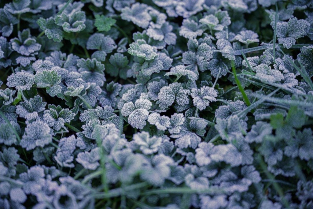 У Львові оголосили І рівень небезпеки: прогноз на 28 вересня 1 Вфото Pixabay