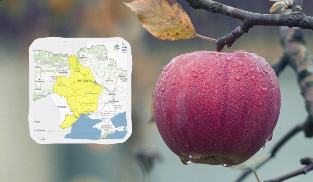 колаж УНІАН, фото Pixabay, Укргідрометцентр