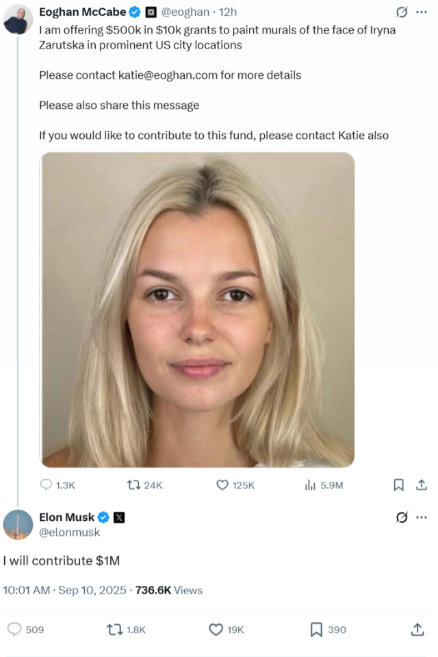 Вбивство українки Ірини Заруцької у США - Маск пообіцяв виділити 1 мільйон доларів на мурали із зображенням дівчини 2