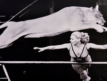 Виставка «Перформативне мистецтво. Цирк» - у Києві показали історію українського цирку - фото 1