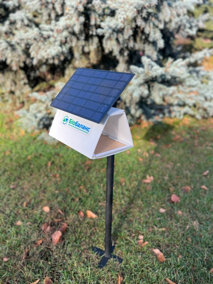 Жінки-підприємиці про свій бізнес і поради початківцям – досвід фіналісток премії Створено жінками 3