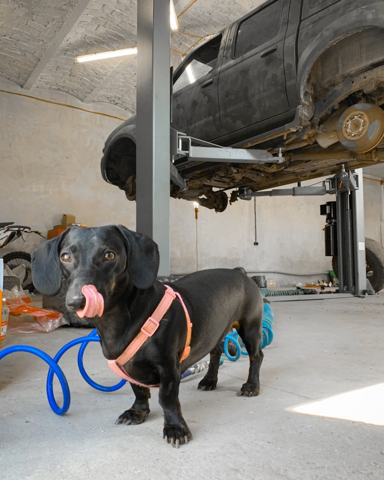 Жінки-підприємиці про свій бізнес і поради початківцям – досвід фіналісток премії Створено жінками 4