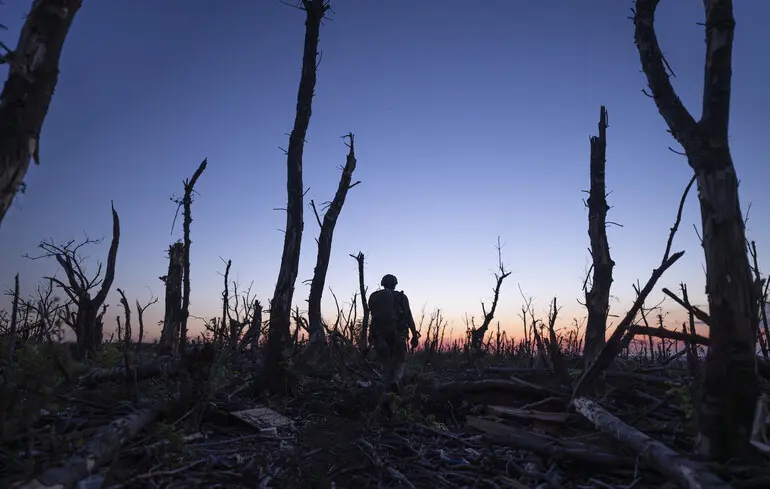 2000 метрів до Андріївки та Війна очима тварин стали номінантами премії Кіноколо - переможців оголосять 29 листопада - новини культури 1