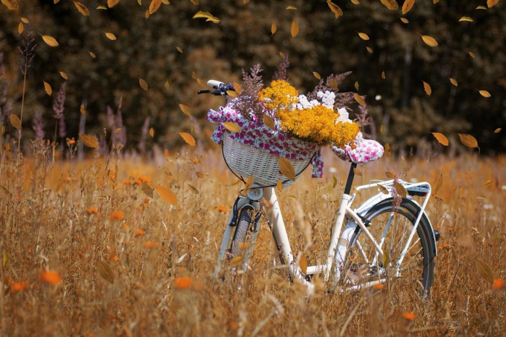 30 фото pixabay.com