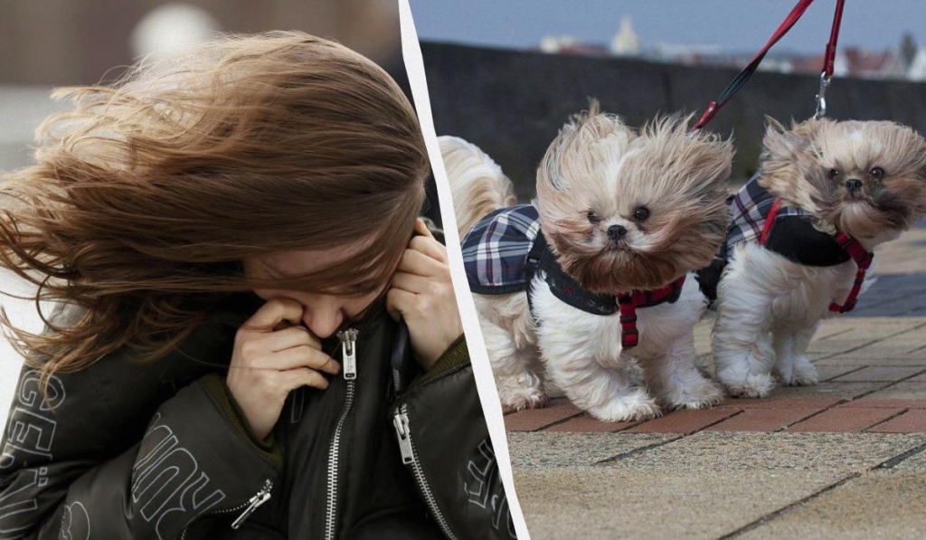 колаж УНІАН, фото Reuters, dailymail.co.uk