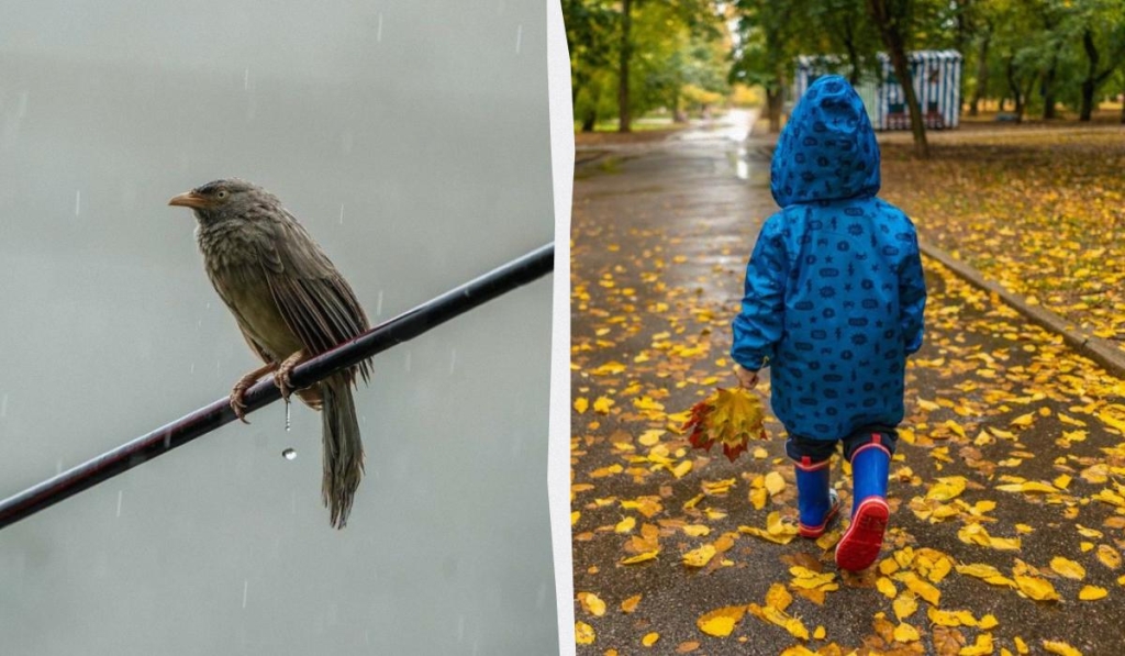 коллаж УНИАН, фото Pixabay, pexels.com