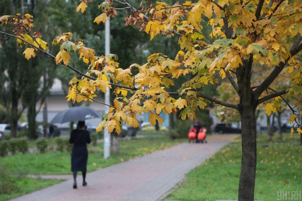 Кіфото УНІАН