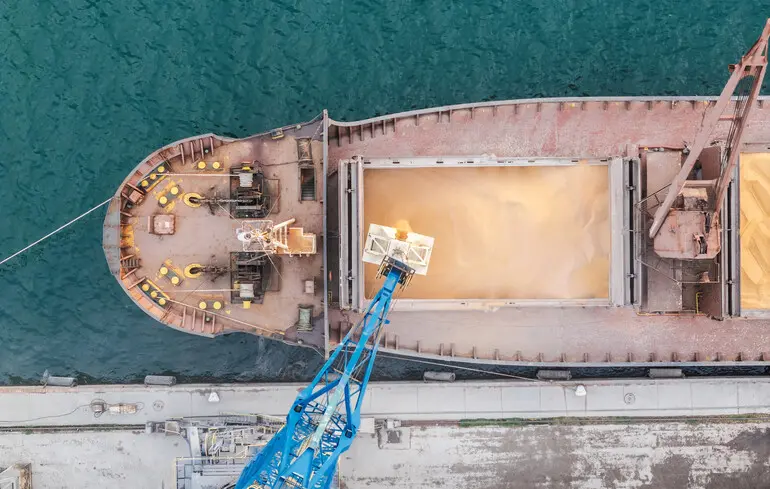 Аграрний експорт України за час війни зріс втричі, а промисловий обвалився у два рази - причини 1