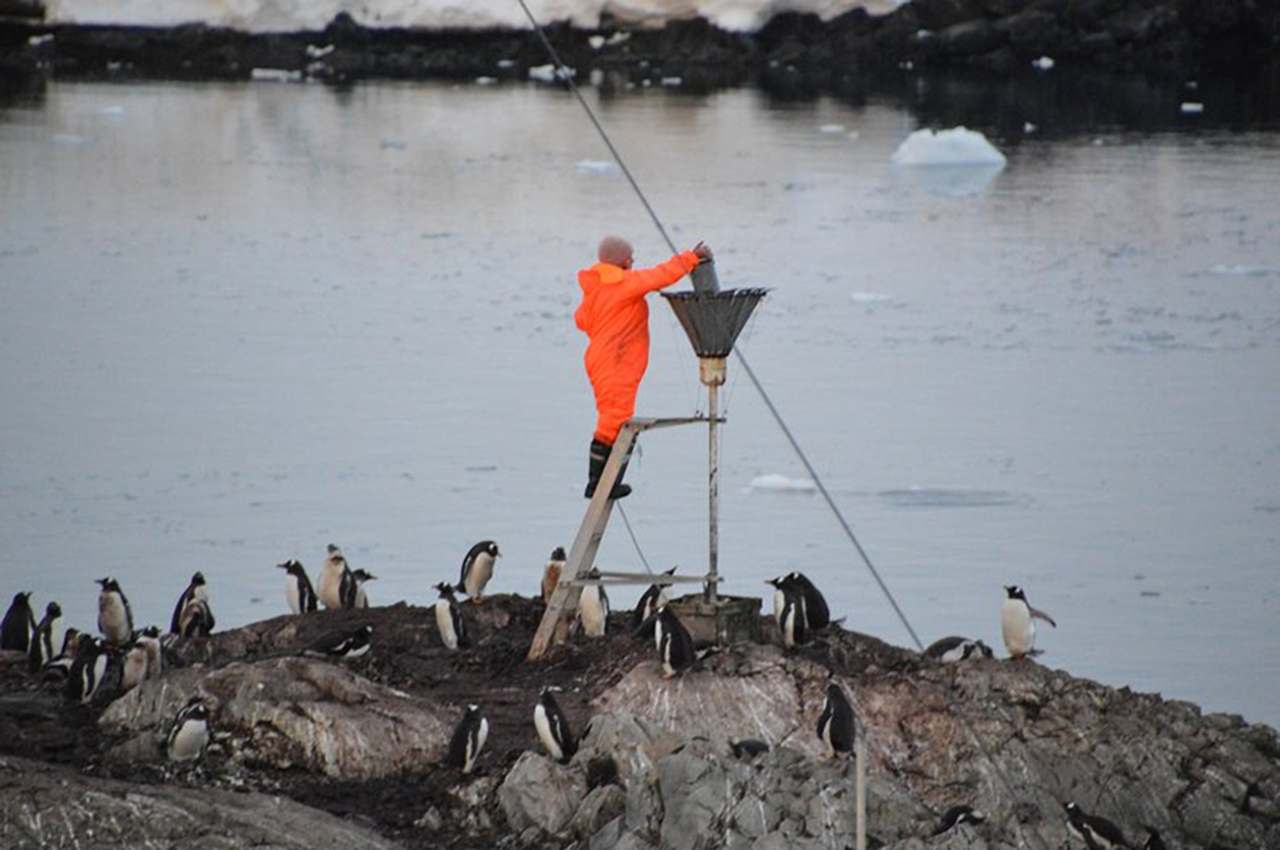 Анастасія Чигарева в інтерв’ю D.UA про погоду, зміну клімату та Антарктиду 3
