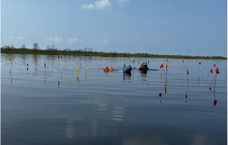 Археологи знайшли підводний соляний комплекс мая - відкриття змінює уявлення про життя стародавньої цивілізації - новини науки 1