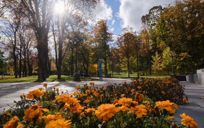 Бабине літо й потепління в Україні очікується на кінець жовтня після заморозків - прогноз погоди 1