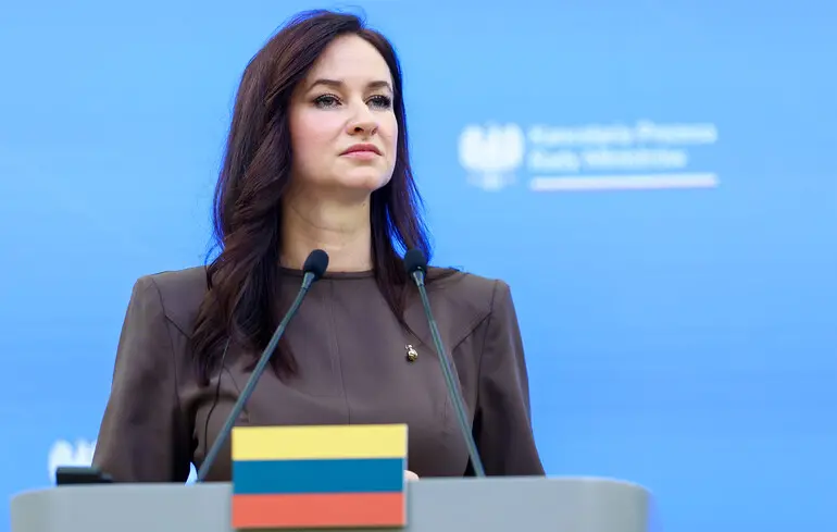 Білоруські повітряні кулі в Литві - прем'єрка країни закликала до єдиної відповіді 1