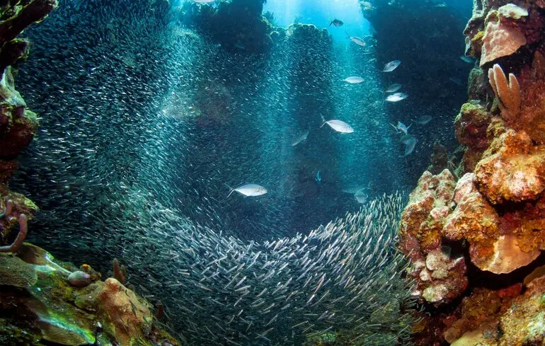 Червоне море перетворилося на пустелю 6 мільйонів років тому - вчені розповіли, що сталося 1