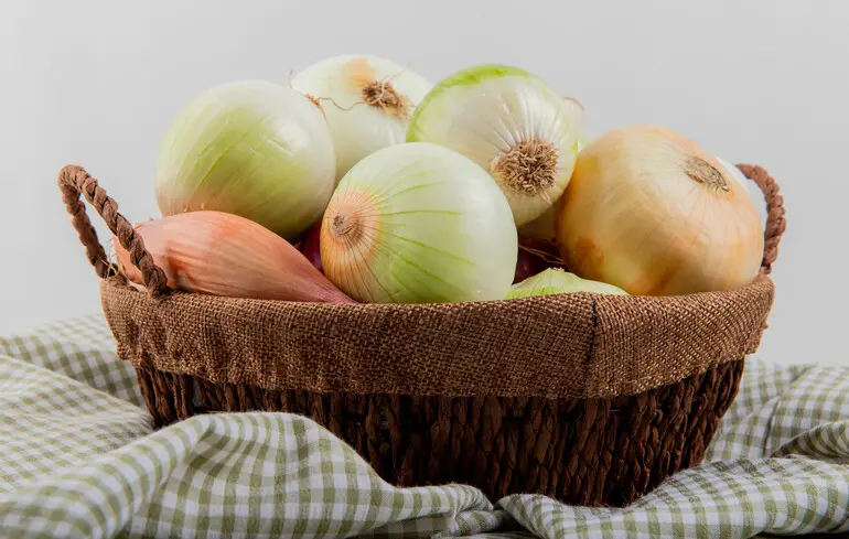 Ціни на цибулю в Україні 2025 – як змінилися, скільки коштує цей продукт – новини України 1