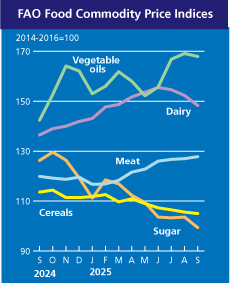 Ціни на м'ясо зросли до рекордних рівня 2