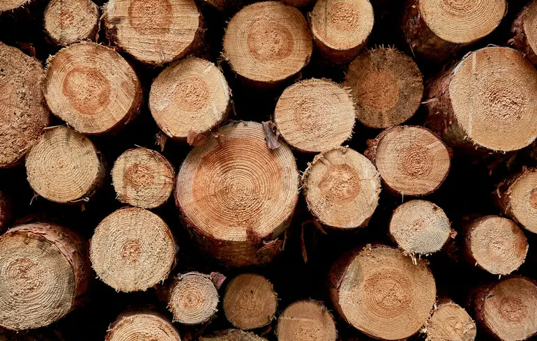 Допомога на дрова 2025 — до якого числа можна подати заявку – як отримати 1