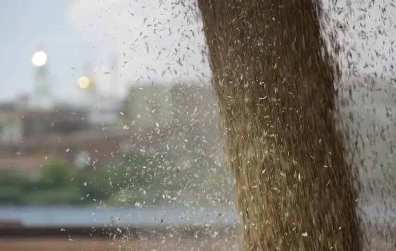 Експорт зернових - Мінекономіки визначило лідерів 1