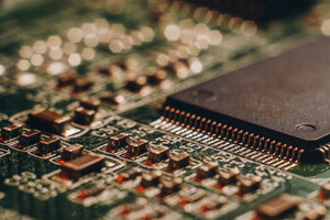 Гриби шиїтаке працюють як мікрочипи майбутнього 3