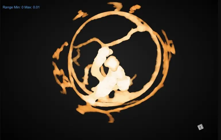 Як мурахи будують мурашники - комахи змінюють форму гнізда для захисту від хвороб 1