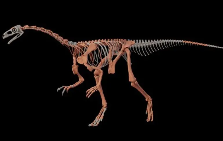 Як виглядали перші динозаври Землі - в Аргентині знайшли скелет динозавра віком 230 мільйонів років 1