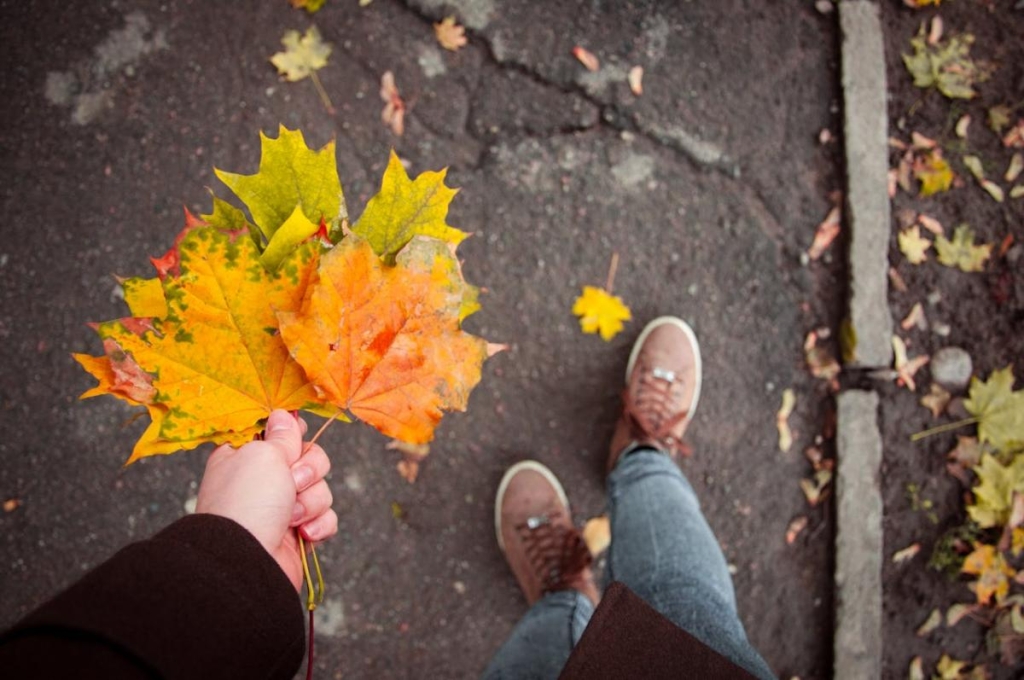 30фото pexels.com