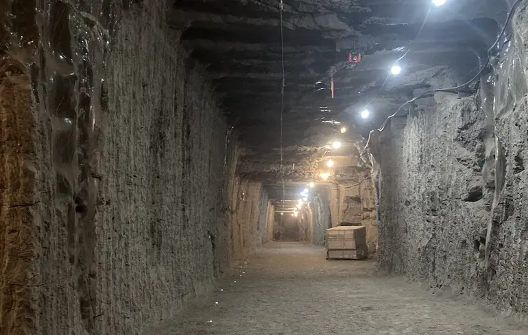 Мікроби віком 40 тисяч років із вічної мерзлоти прокинулися - навіщо вчені їх розбудили 1