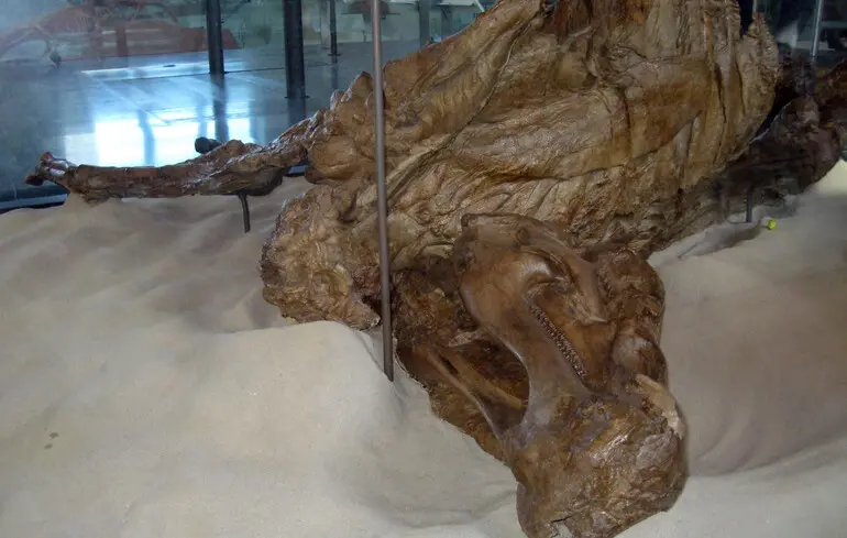 Мумія динозавра зі США - вчені знайшли у тварини копита 1