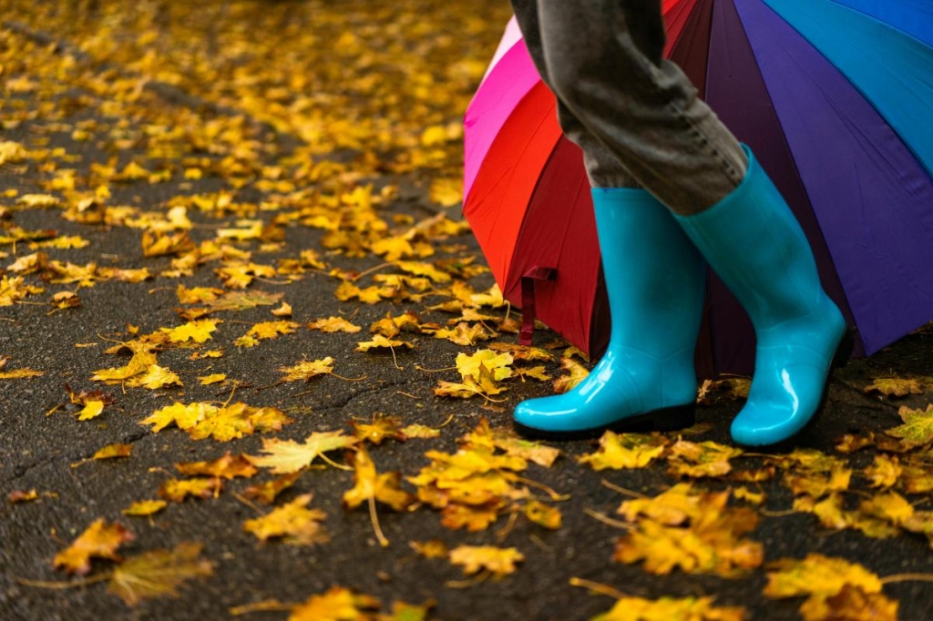 На киян чекає незатишна погода глибокої осені, - Укргідрометцентр 1 У фото pexels.com