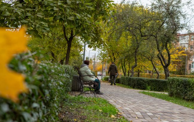 Погода в Україні 29 жовтня - прогноз від Діденко на сьогодні 1