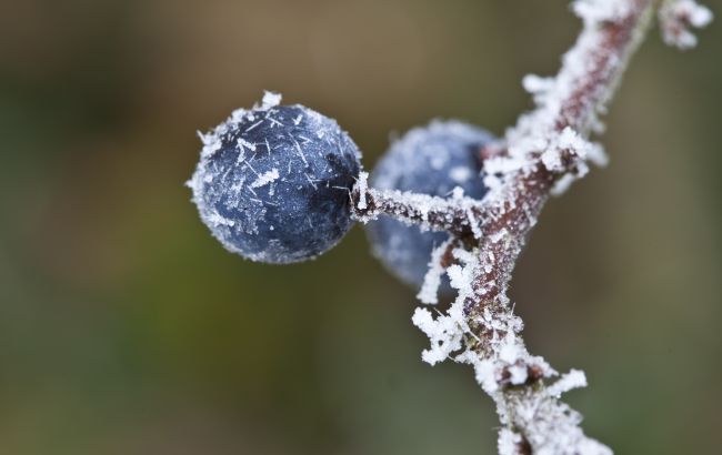 Погода в Україні 3 жовтня - кілька регіонів зачеплять заморозки 1