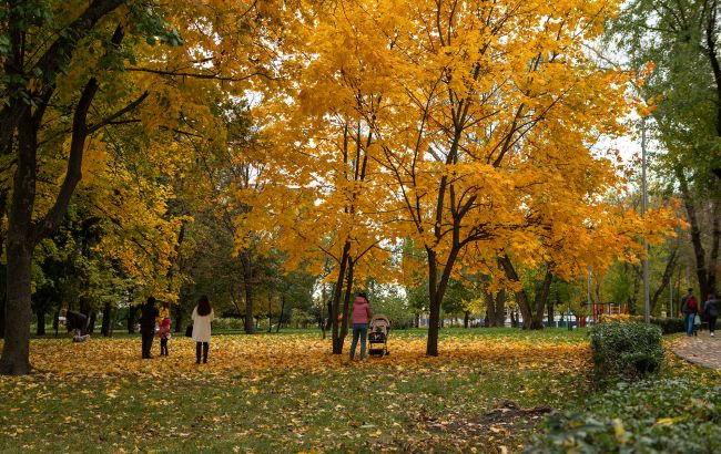 Погода в Україні 30 жовтня - потепління та без дощів 1