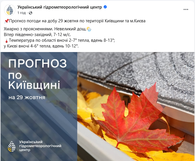 Погода в Україні завтра 29 жовтня несе дощ, сніг у Карпатах і пориви вітру - де буде негода, прогноз 3