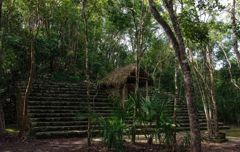 Правителька давнього міста мая - археологи ідентифікували Ікс Ч’ак Ч’ін - новини науки 1