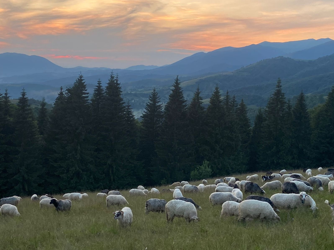 Село Колочава і Синевирська Поляна в Закарпатській області України визнали найкращими для туристів 5