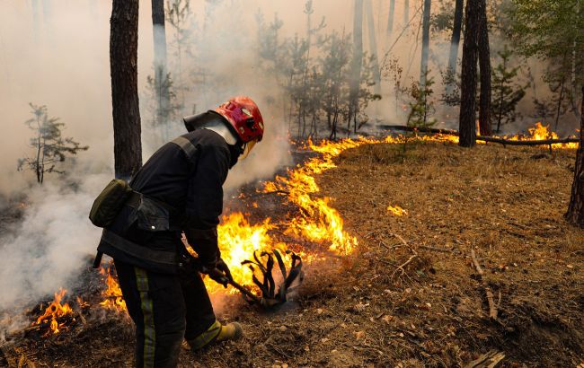 Штраф за спалення листя і трави в Україні - як карають за порушення 1