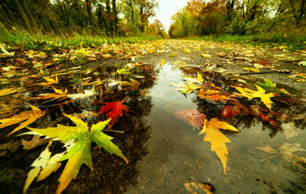 ПОфото ua.depositphotos.com