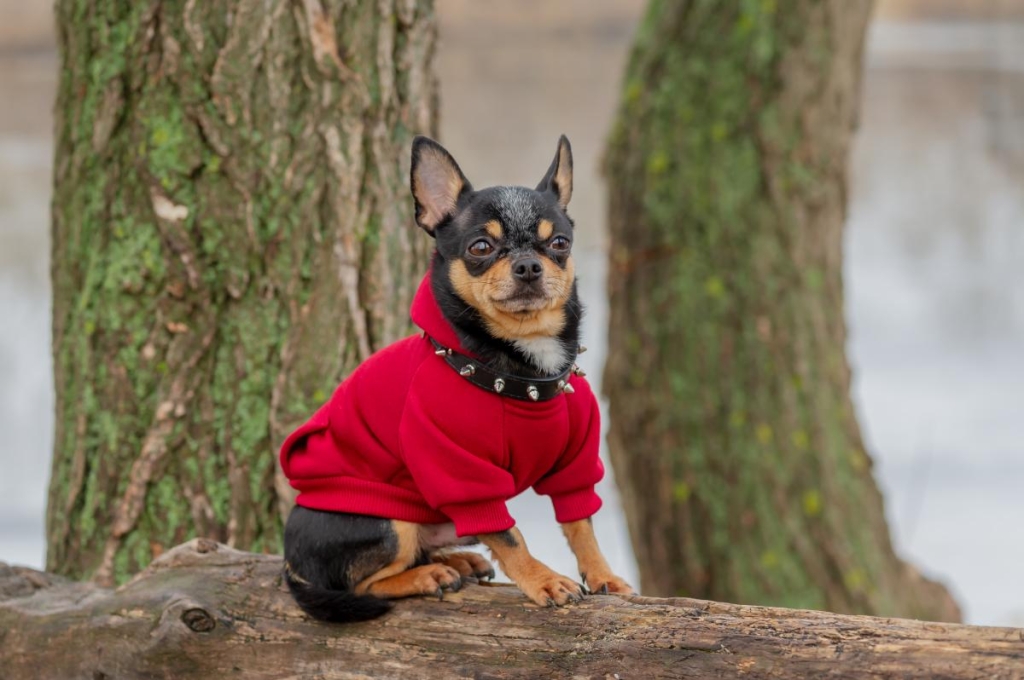 Нефото ua.depositphotos.com