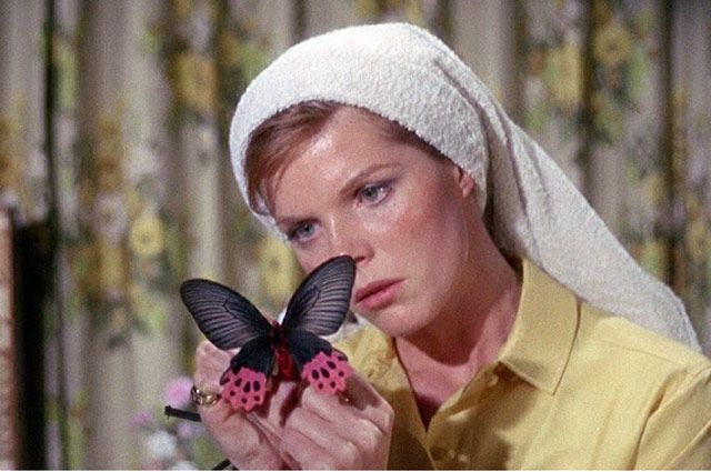 Творчість Джона Фаулза – Чим примітні твори письменника: огляд найвідоміших книг 2