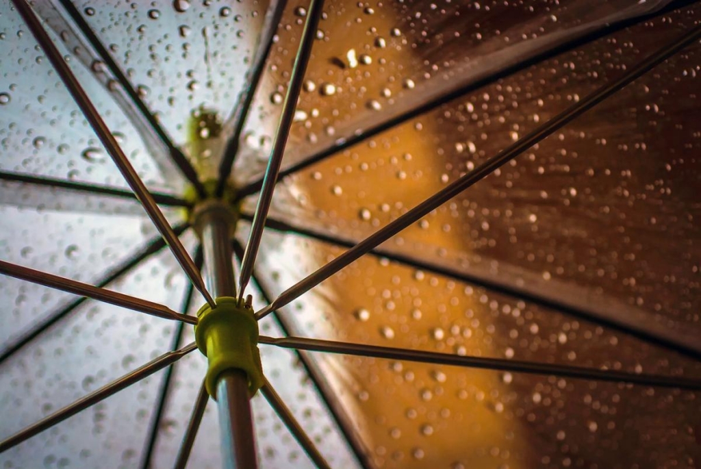 Нфото Lucent_Designs_dinoson20, Pixabay