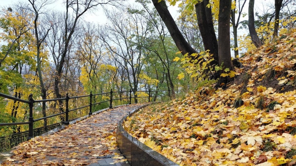 У Києві стане тепліше: названо дату, коли температура підвищиться та не буде дощів 1 Нефото Марина Григоренко