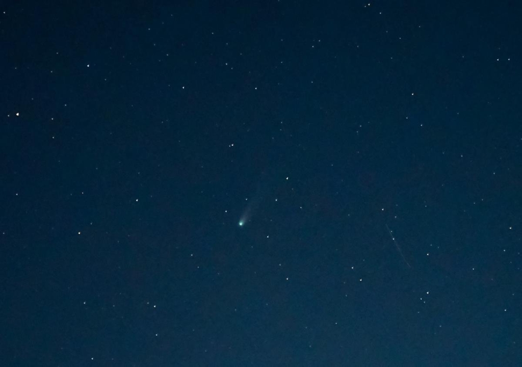 Владислав Панін