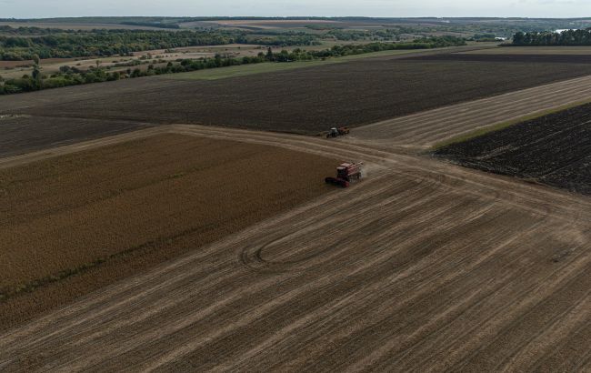 Врожай соняшника, сої, цукрового буряку і озимих постраждав від погоди в жовтні - в яких областях 1