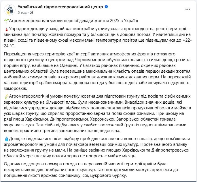 Врожай соняшника, сої, цукрового буряку і озимих постраждав від погоди в жовтні - в яких областях 3