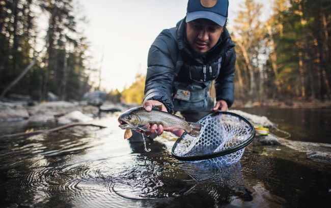 Заборона на вилов форелі чи пструга діє у регіоні Карпат - де ловити не можна, який штраф, правила 1