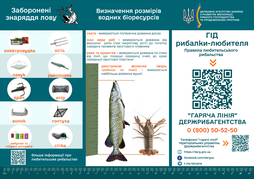 Заборона на вилов раків 2025 в Україні завершилась - як ловити без штрафів, правила рибальства 4